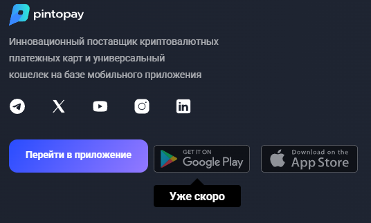 pintopay me