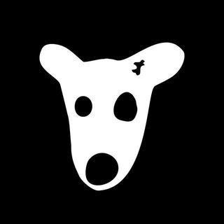 Dogs Airdrop🦴