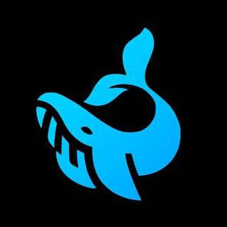 Ton 💎 Whales