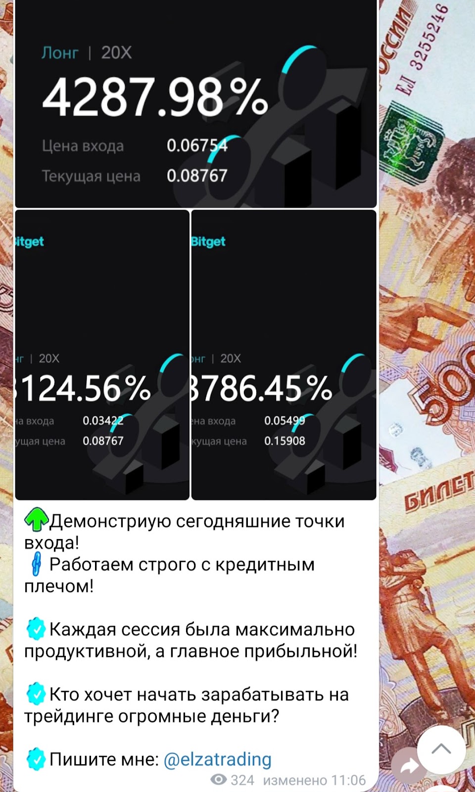 эльза трейдер отзывы