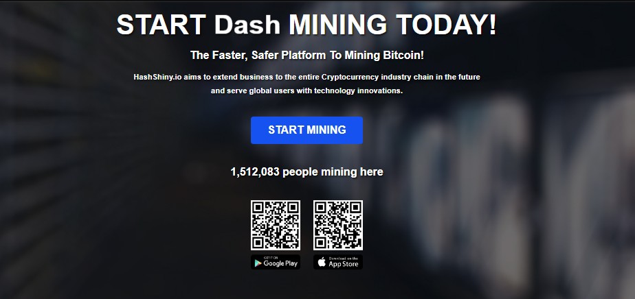 hashshiny