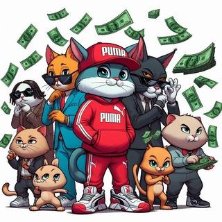 Puma 💎