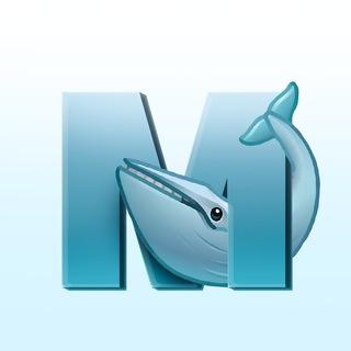 Whales Media