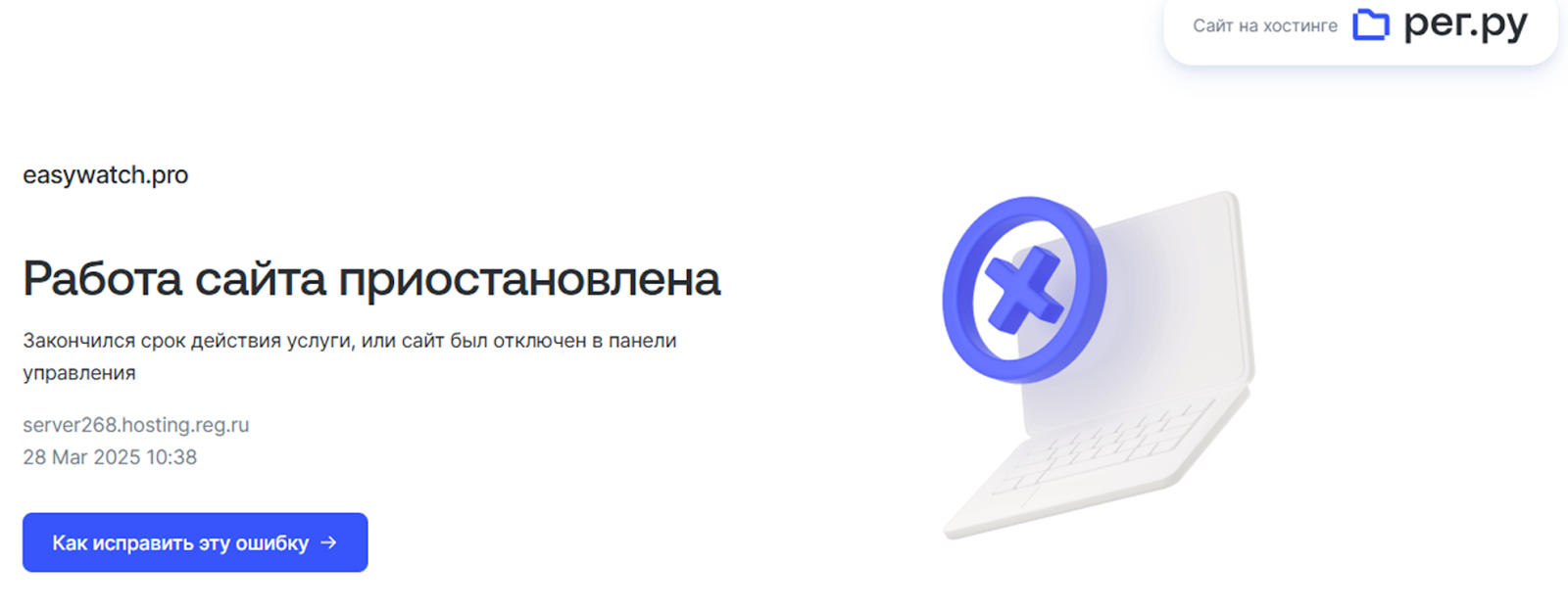 easywatch coin где листинг