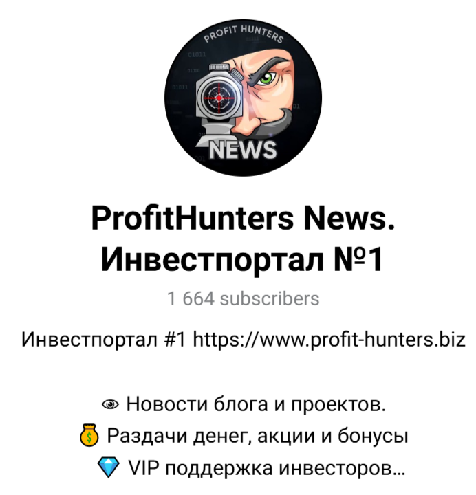 profit hunters biz