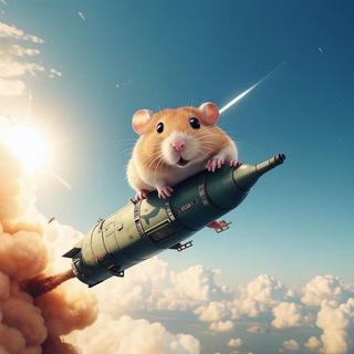 Fun Invest 🚀