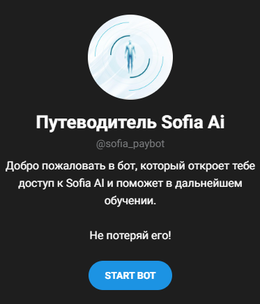 никита куракин ии профориентация