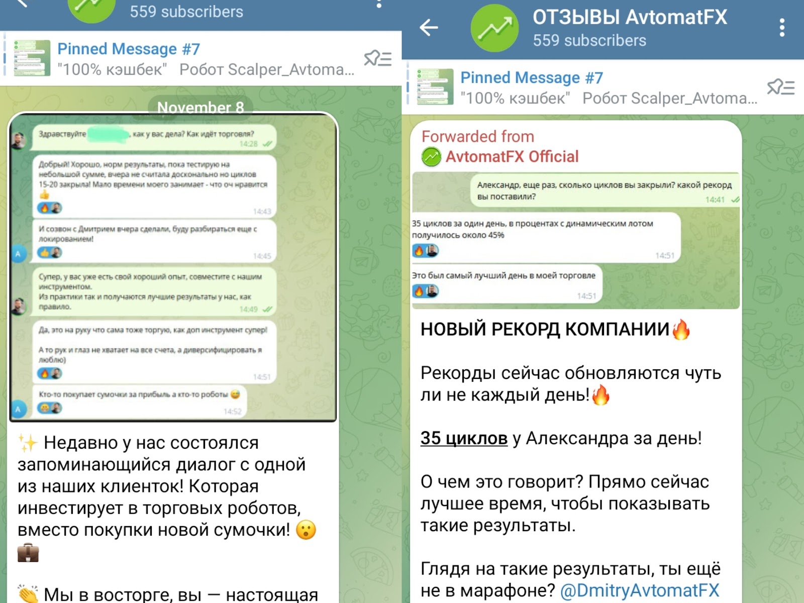 инструкция scalper avtomatfx 7 0