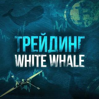 White Whale – Anatolytrade
