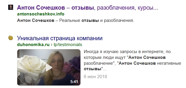 духовная экономика антон сочешков