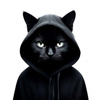 Crypto ⚡️meows 🐈‍⬛