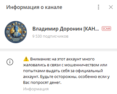 владимир доронин инвестиции отзывы