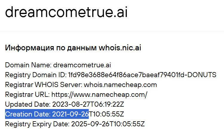 dream come true information technology