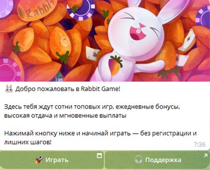 rabbit game casino отзывы
