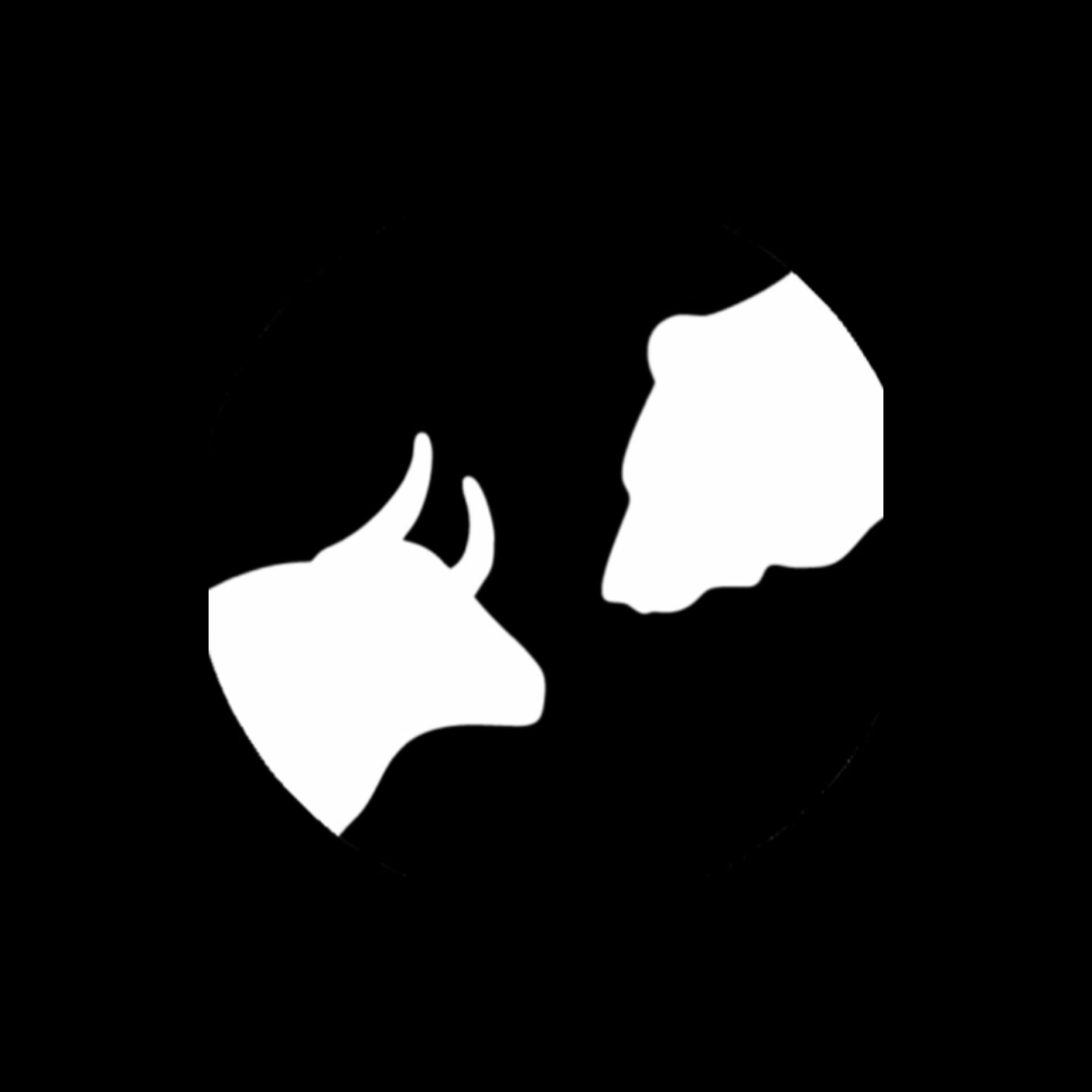 Log Capital