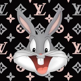 Rich Bunny 💰