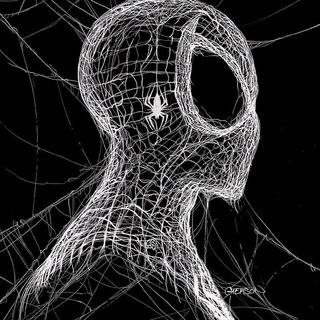 Spider Trader